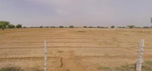 Meloj, Gujarat 384151, India preview 3