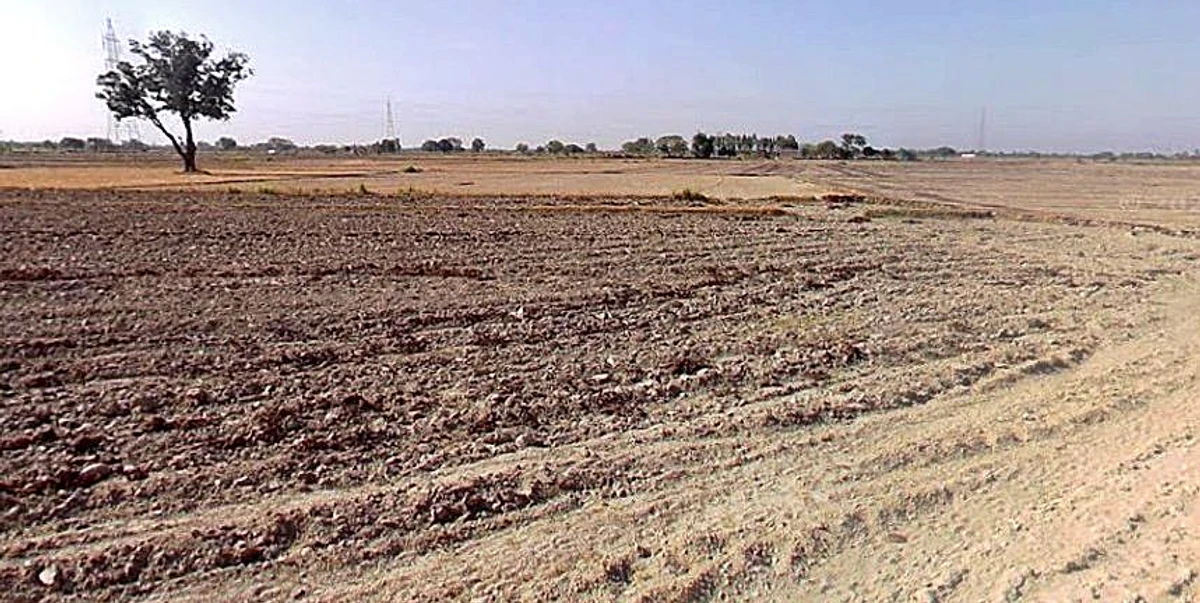 Chandla, Madhya Pradesh 471525, India