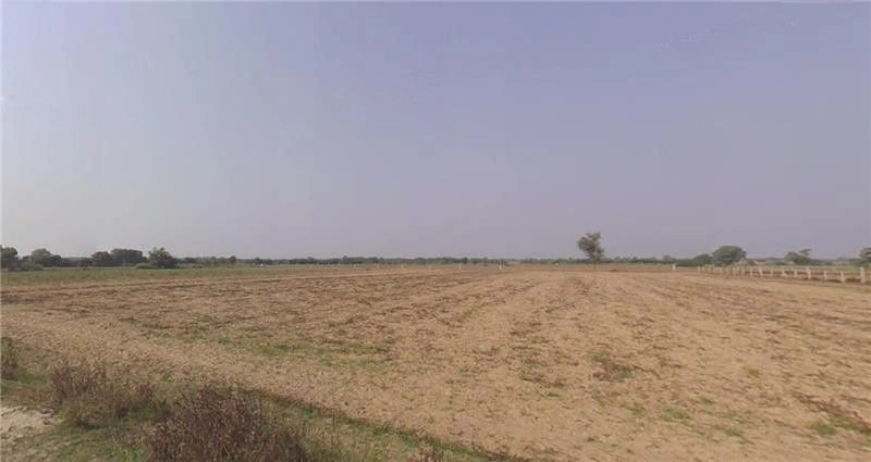 Vithalpur, Gujarat, India