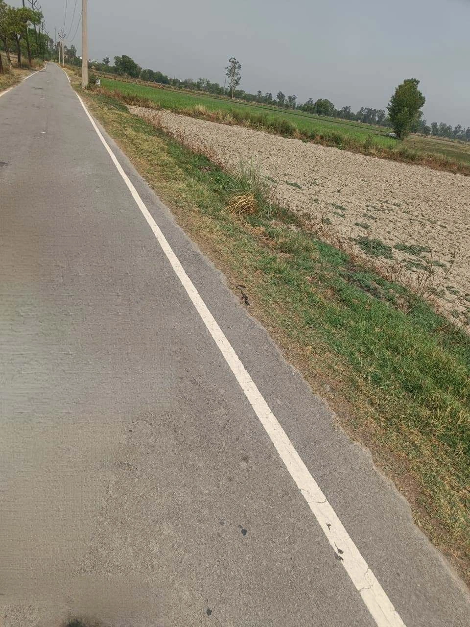 Aou, Rajasthan, India