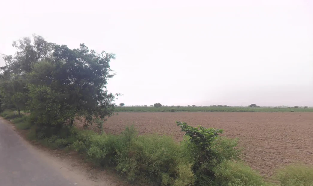 Bedwa, Haryana 124112, India