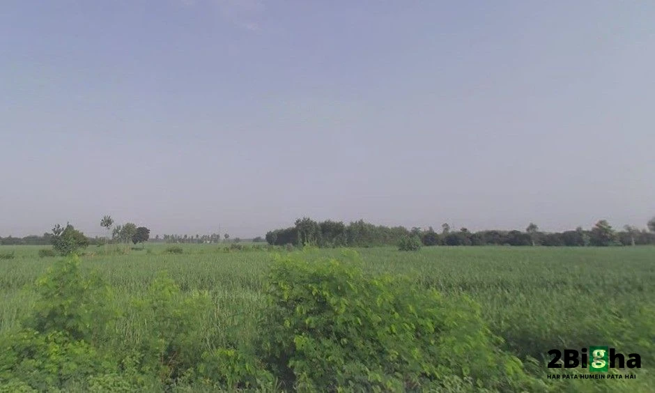 Delhi - Haridwar Rd, N B Colony, Meerut, Uttar Pradesh, India