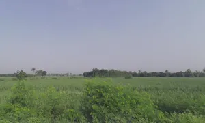 Delhi - Haridwar Rd, N B Colony, Meerut, Uttar Pradesh, India preview 3