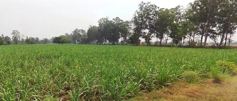 Beri, Haryana 124201, India