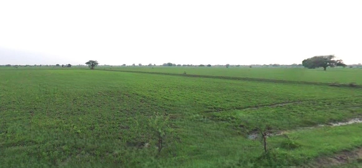 Chhuchhakwas, Haryana 124106, India preview 3