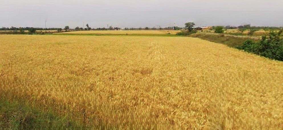 Painti Kalan, Uttar Pradesh 244102, India preview 2