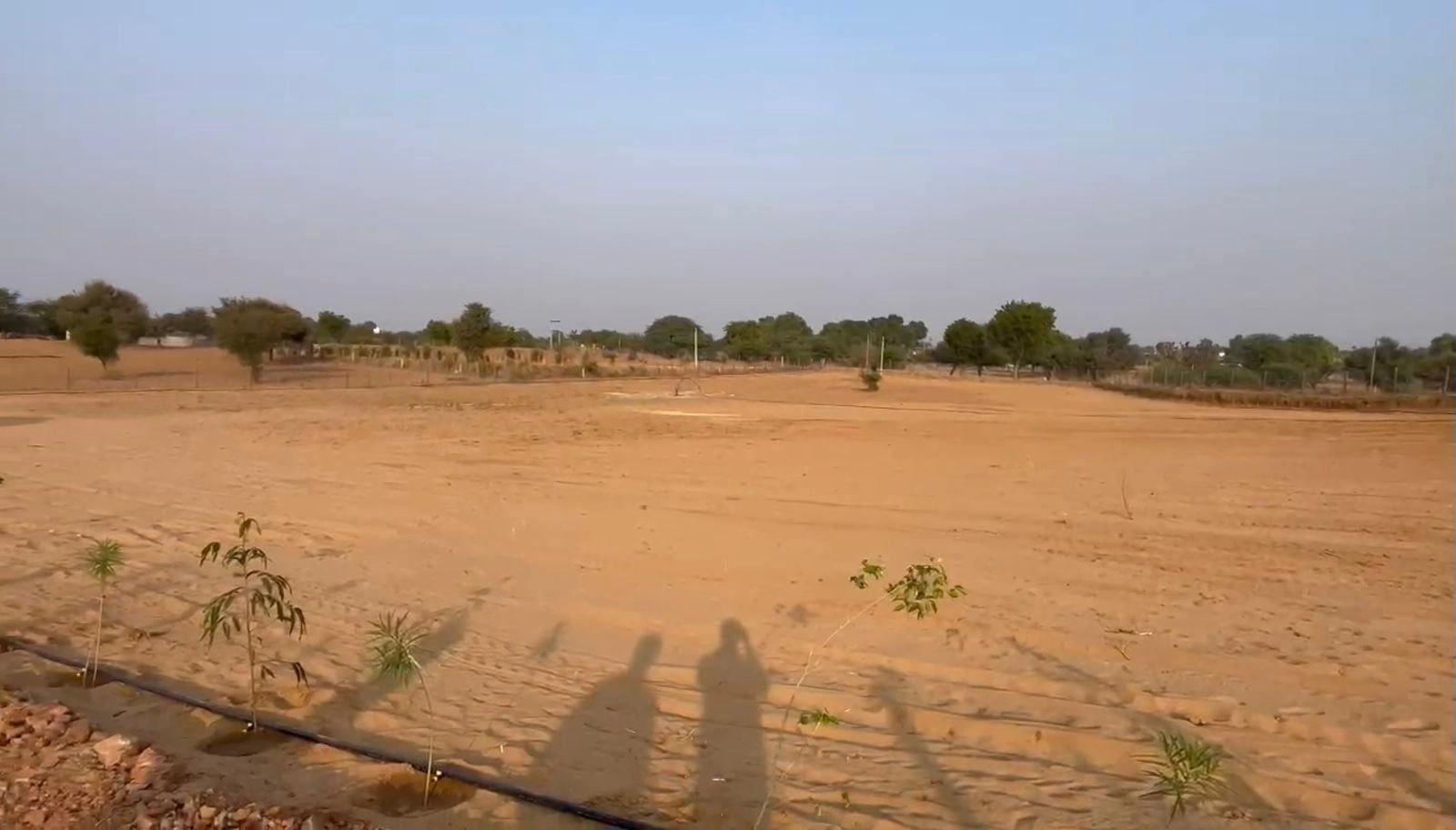 HF56+F8R, Thanwala, Rajasthan 305026, India preview 4