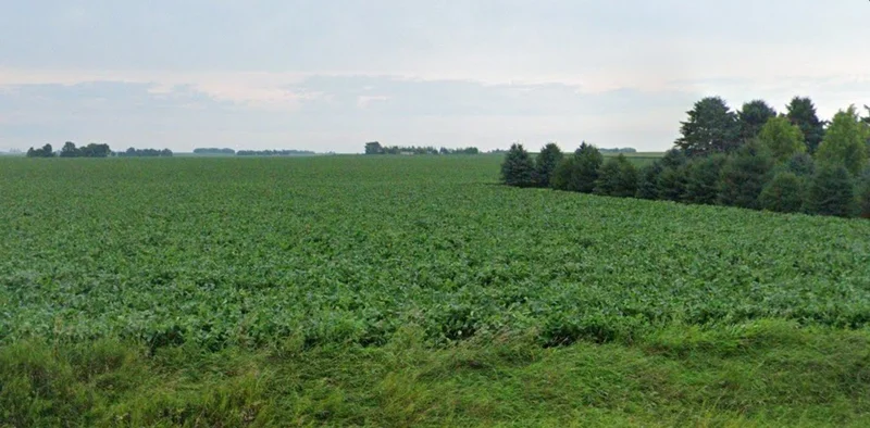 Sasabarad, Madhya Pradesh 451228, India preview 3