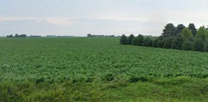 Sasabarad, Madhya Pradesh 451228, India preview 3