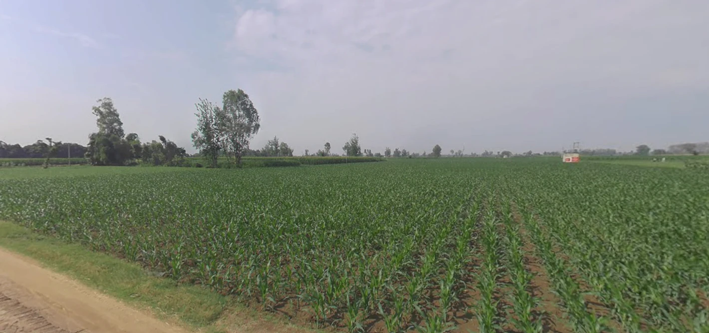 Chandpur, Uttar Pradesh 246725, India