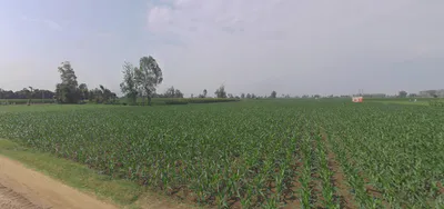 Chandpur, Uttar Pradesh 246725, India preview 2