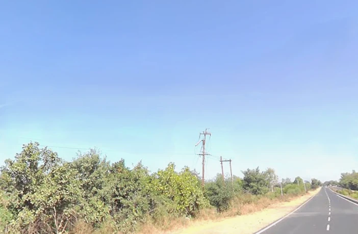 AIIMS Campus Rd, AIIMS Campus, Saket Nagar, Habib Ganj, Bhopal, Madhya Pradesh 462020, India