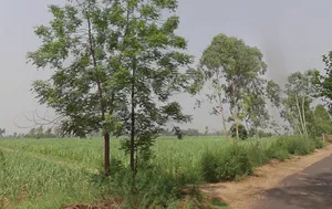 Jhunjhuni, Uttar Pradesh 250401, India preview 2