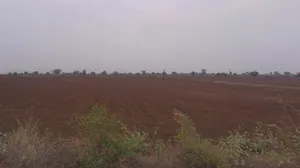 Zadgaon, Maharashtra 445402, India preview 2