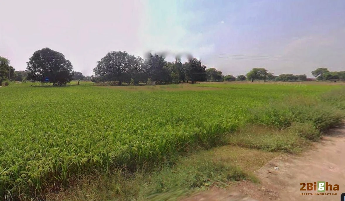 Ratahara, JIWLA, Madhya Pradesh 486003, India