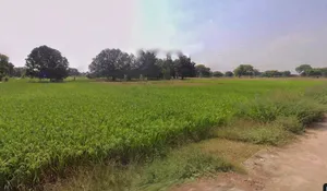 Ratahara, JIWLA, Madhya Pradesh 486003, India preview 3