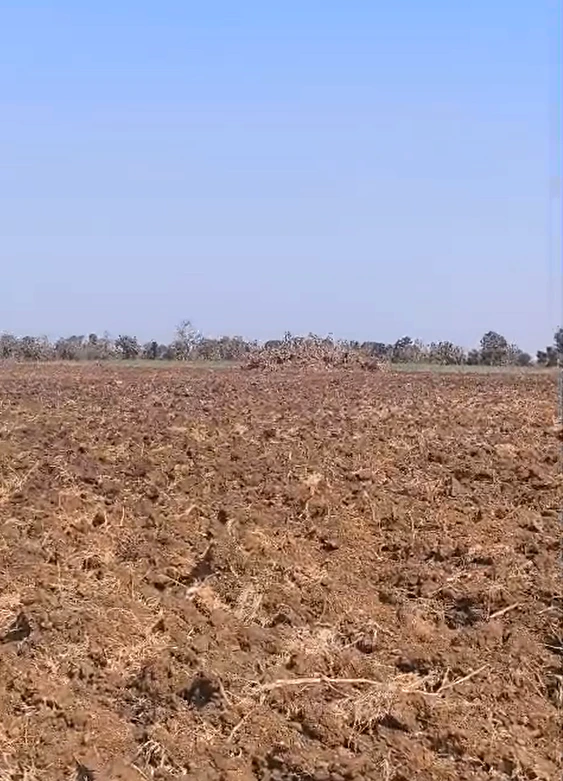 Brijis Nagar, Sehore, Madhya Pradesh 466115, India