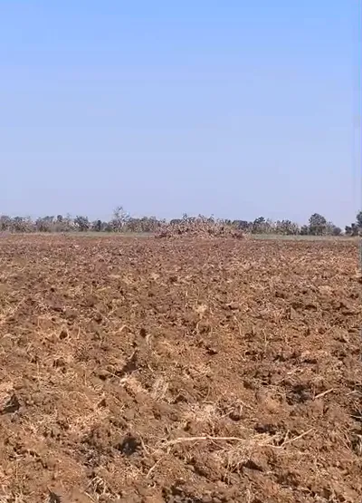 Brijis Nagar, Sehore, Madhya Pradesh 466115, India preview 2