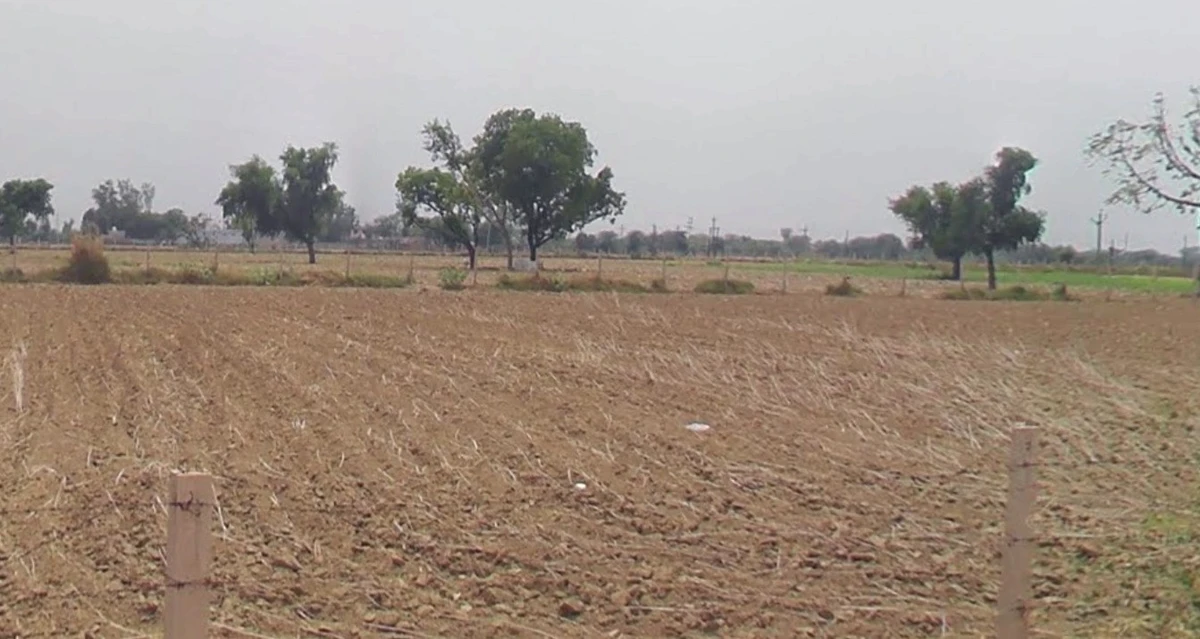 Arniya, Rajasthan, India