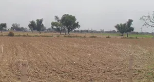 Arniya, Rajasthan, India preview 3