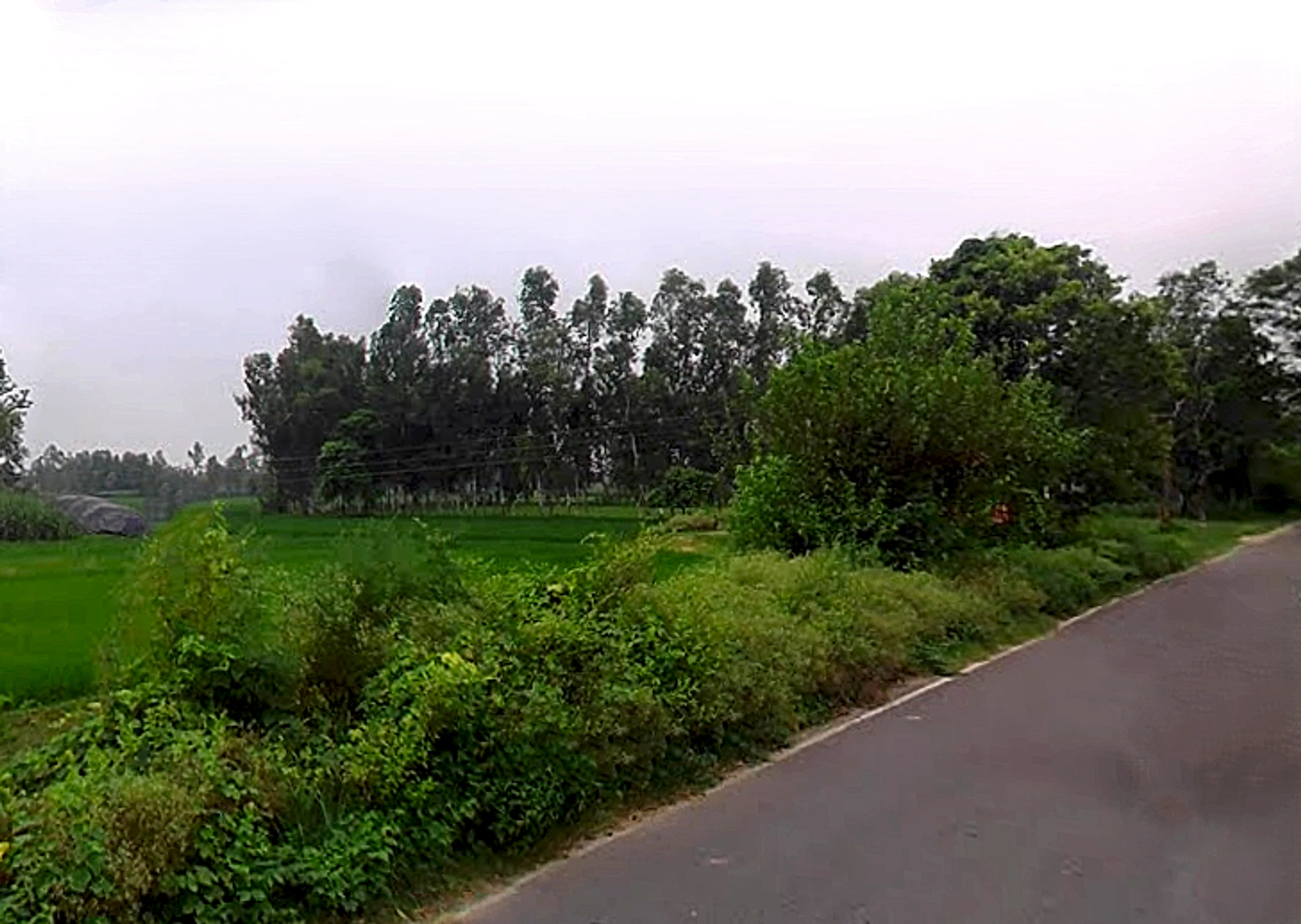 Garapur Urf Rustampur, Uttar Pradesh 244242, India