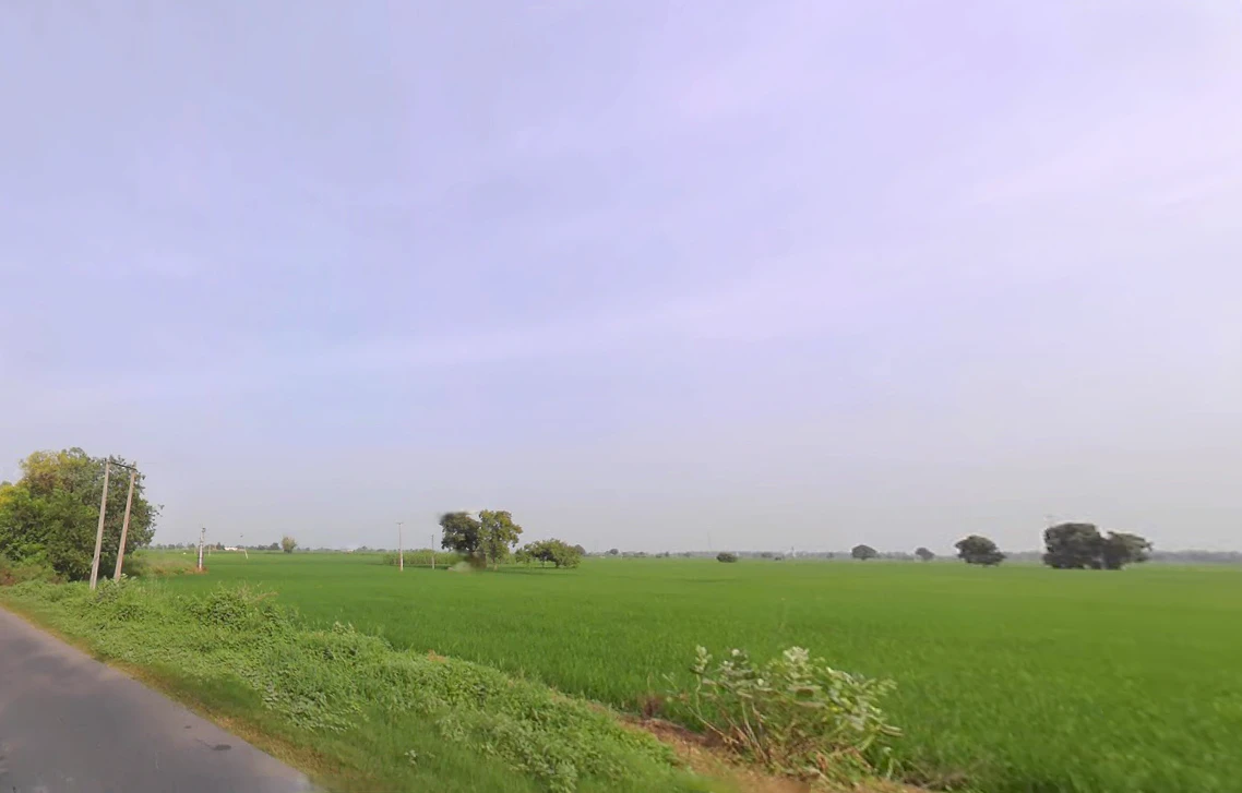 Kawi, Madlauda, Haryana 132113, India