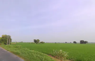 Kawi, Madlauda, Haryana 132113, India preview 3