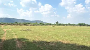Potli, Rajasthan 303305, India preview 4