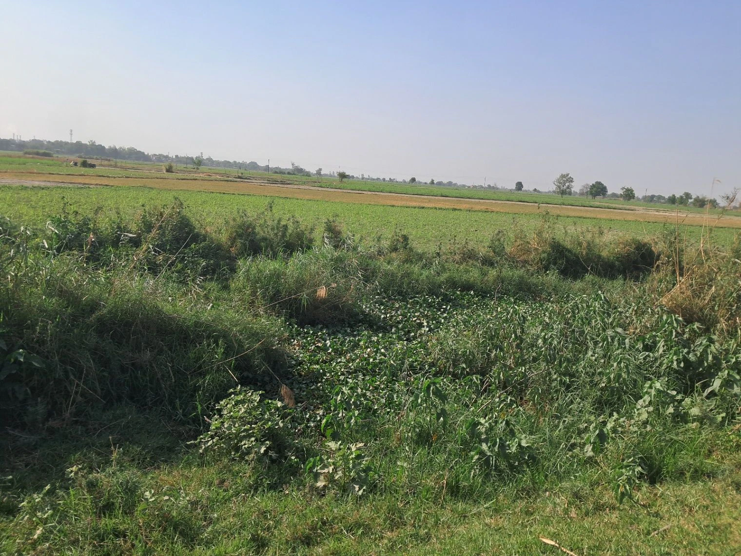 H564+JQ Dubawa, Uttar Pradesh, India