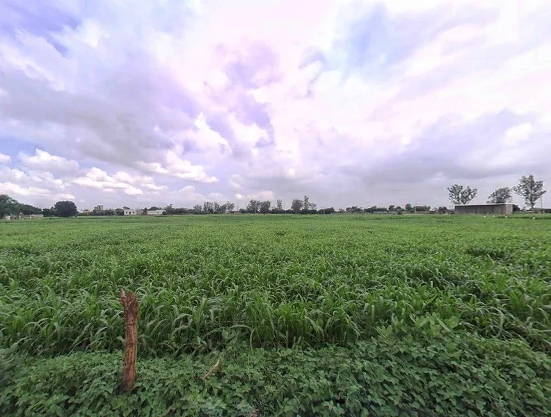 Bansi Khurd, Rajasthan 321303, India preview 2