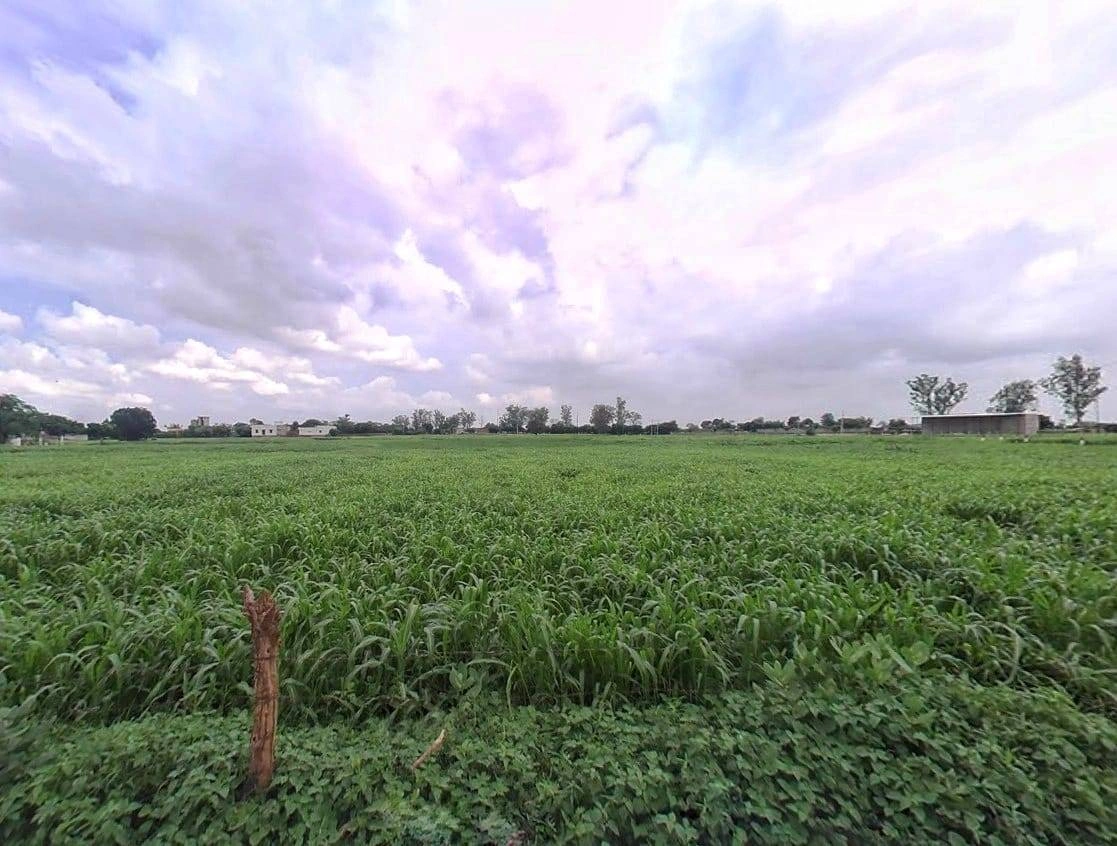 Bansi Khurd, Rajasthan 321303, India