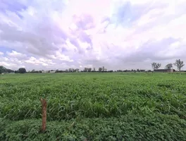 Bansi Khurd, Rajasthan 321303, India preview 2