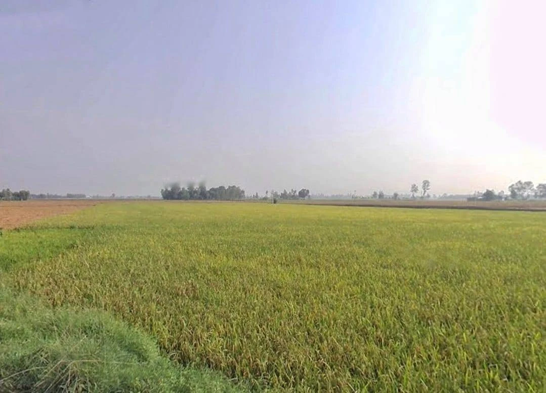 VV7P+PR Bhagchuri, Uttarakhand, India