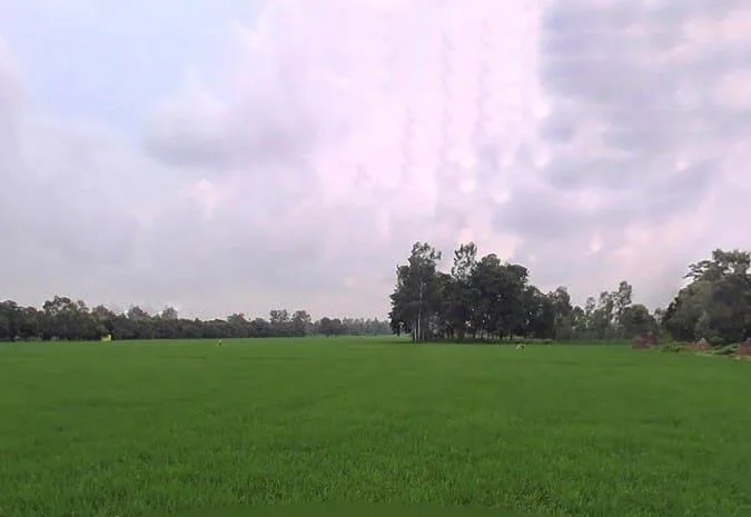 HV9J+855, Bithaura Kalan, Uttar Pradesh 262001, India preview 3