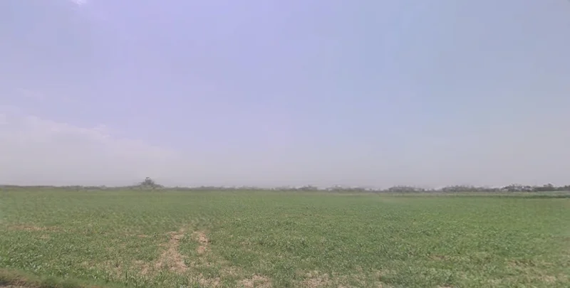 Rajpura, Punjab, India preview 2