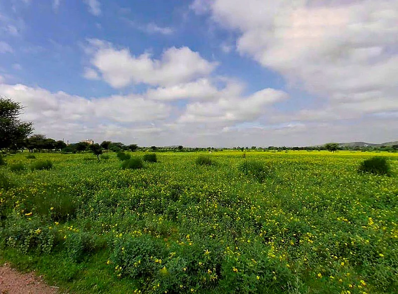 Bagru, Rajasthan 303007, India preview 3