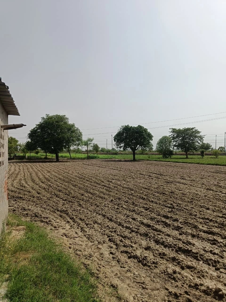 Raiwala, Uttarakhand 249205, India