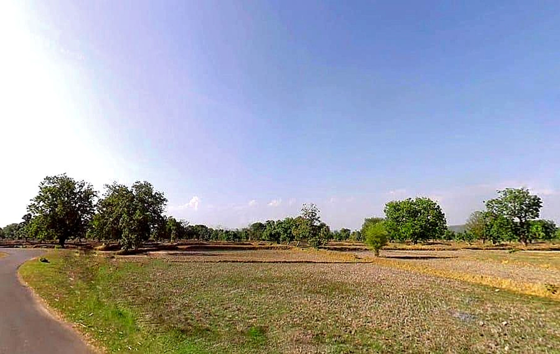 Tekri, Madhya Pradesh 481222, India