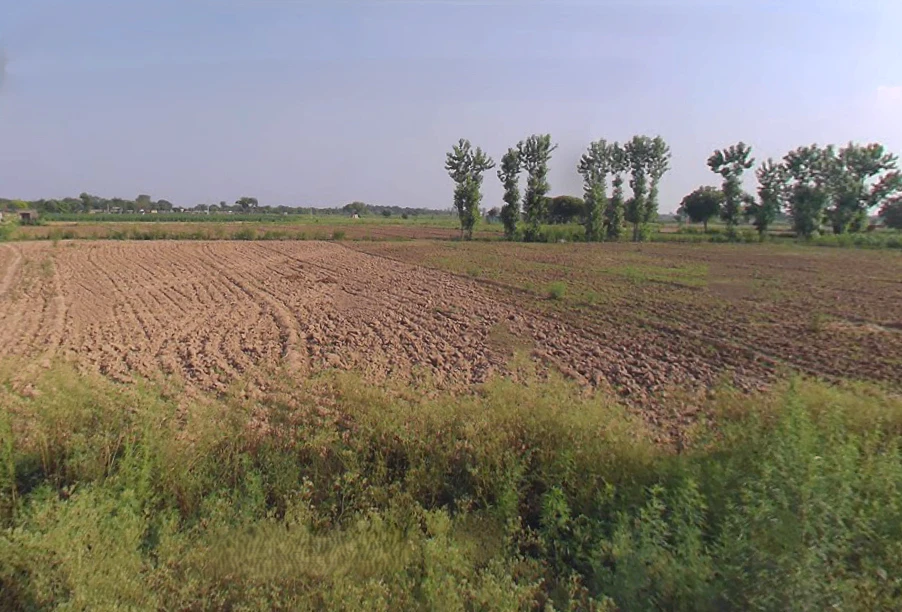 Khurja, Uttar Pradesh 203131, India