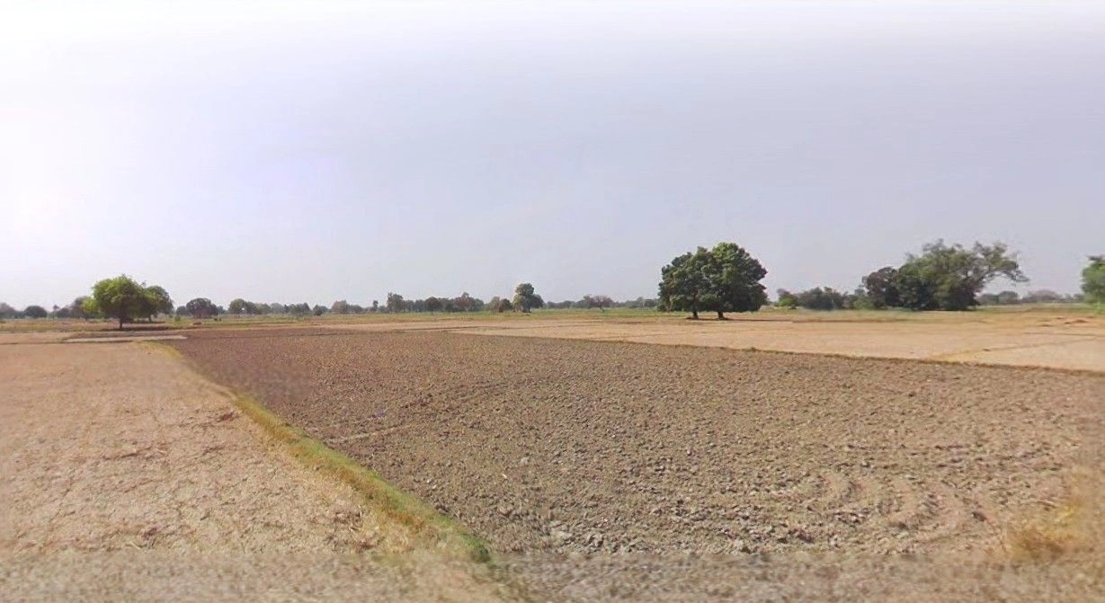 Timarni, Madhya Pradesh 461228, India