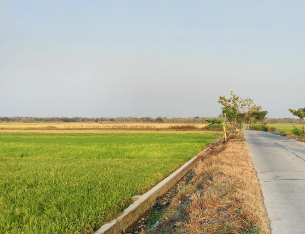 Lasudiya, Madhya Pradesh 458883, India preview 3