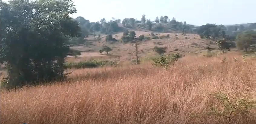 46JV+7CQ, Thane, Dahivali, Maharashtra 410206, India - Photo 2