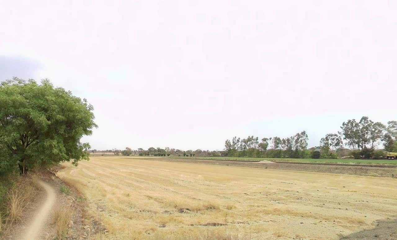 Chaundi, Madhya Pradesh 466001, India