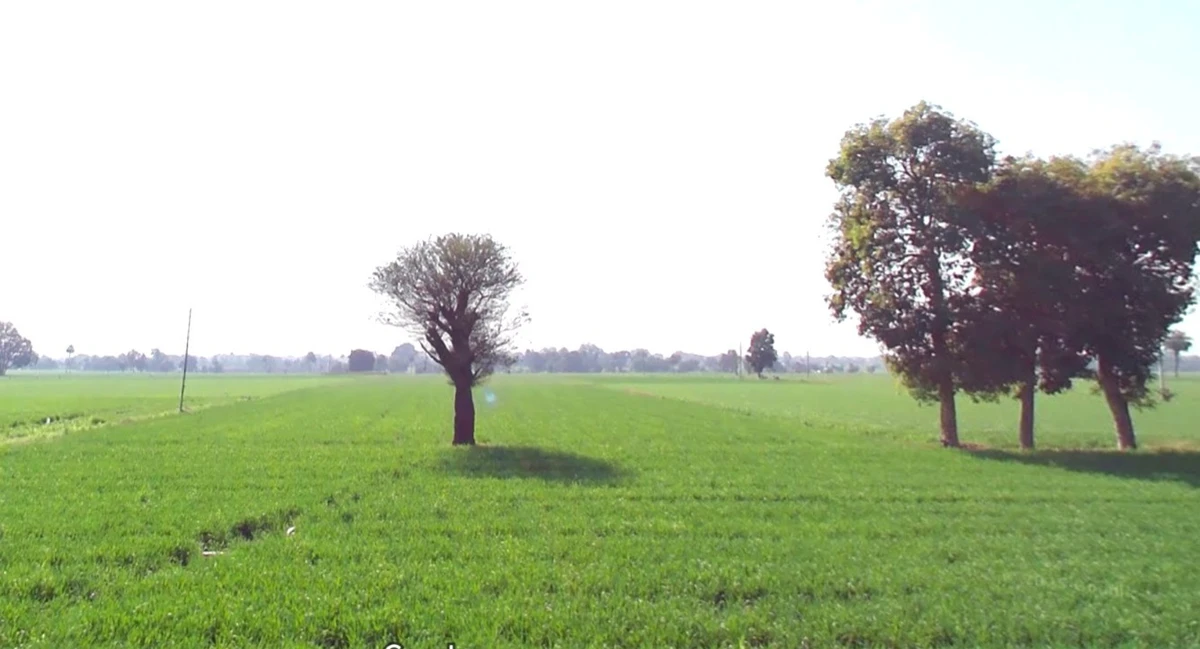 Salamkhedi, Madhya Pradesh, India