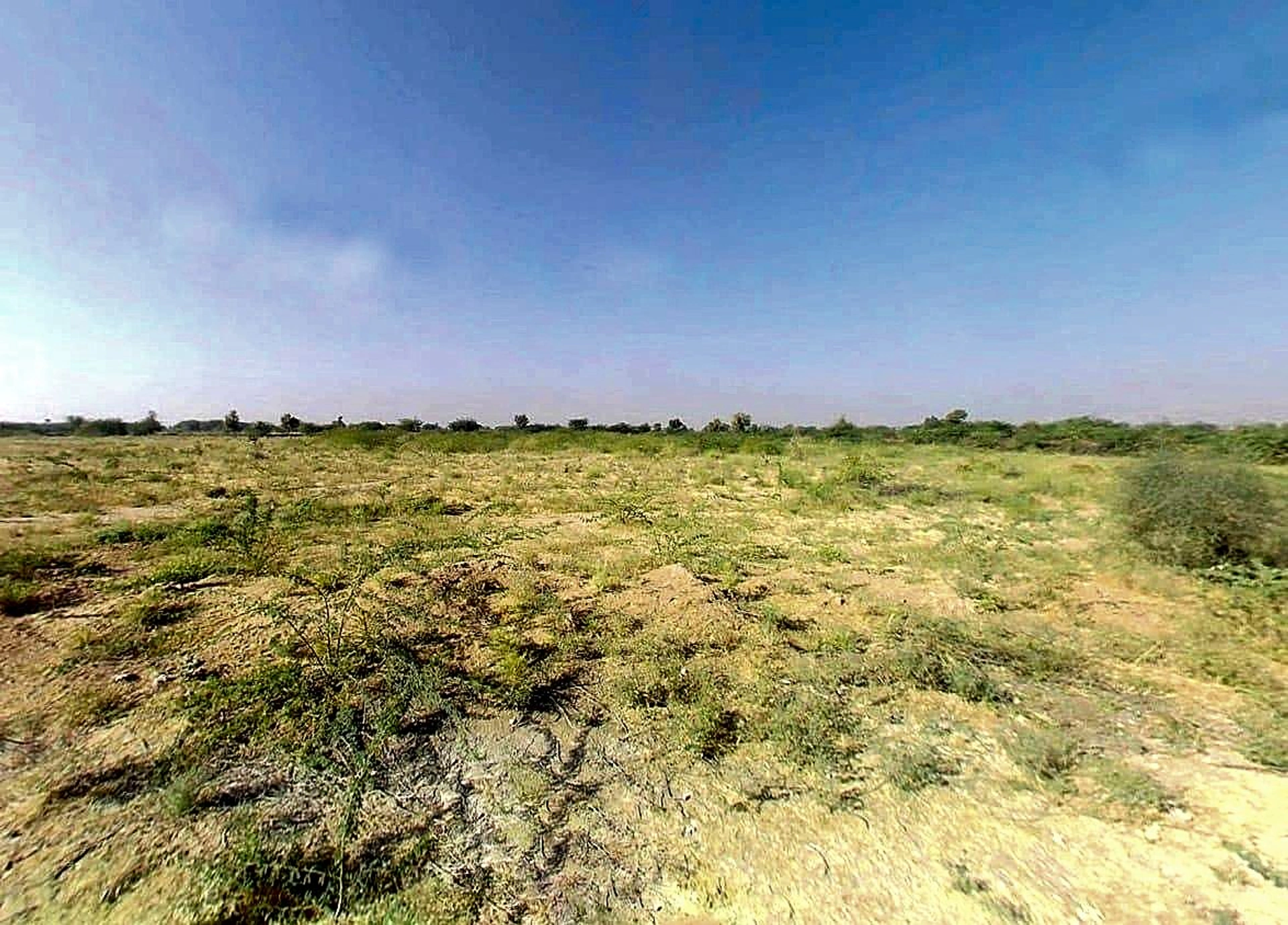 Rohat, Rajasthan 306421, India