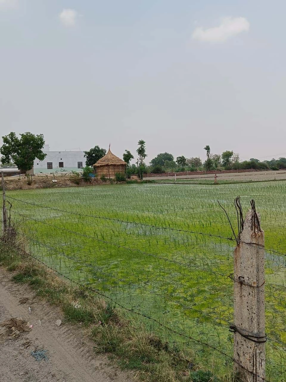 Gharwari, Rajasthan 321201, India preview 3