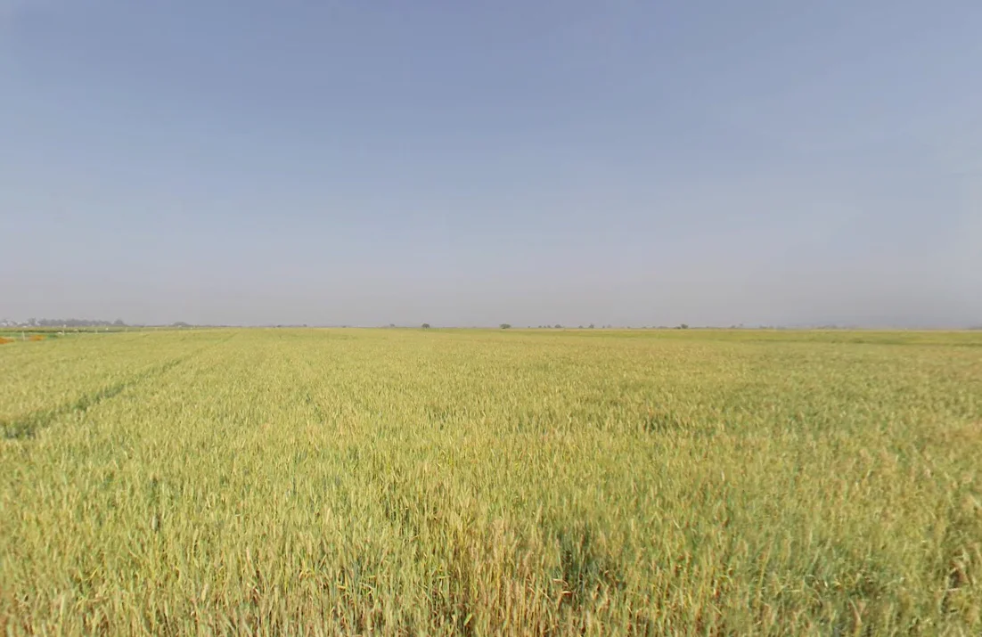 Wazirabad, Delhi, India preview 2