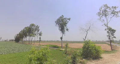 Thakurdwara, Uttar Pradesh 244601, India preview 3