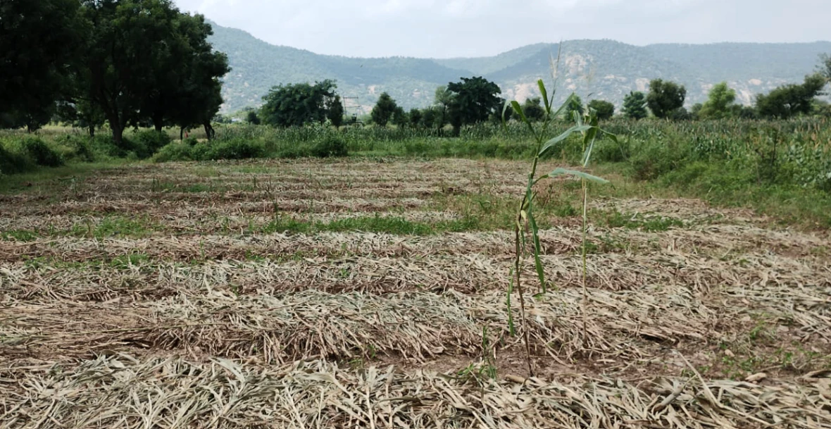 Morinda - Chunni Rd, Bhateri, Punjab, India