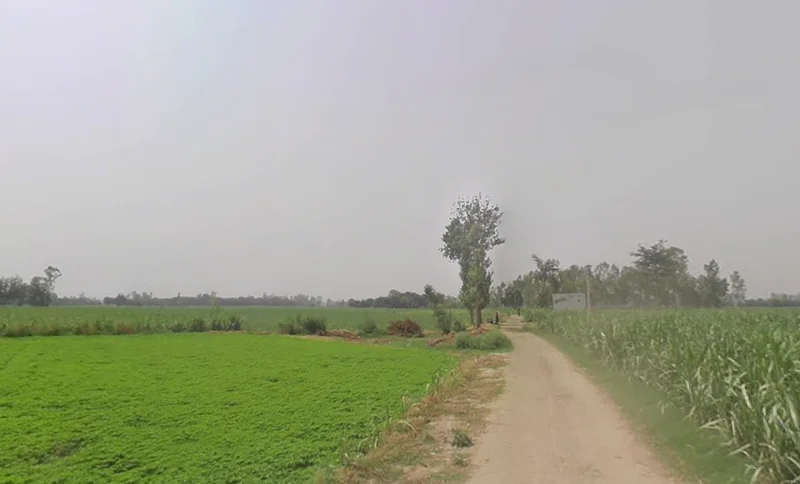 4V8G+677, Mawana Khurd, Uttar Pradesh 250401, India preview 2